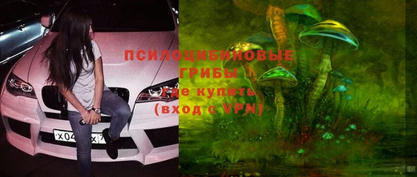 прущие крисы Михайловка